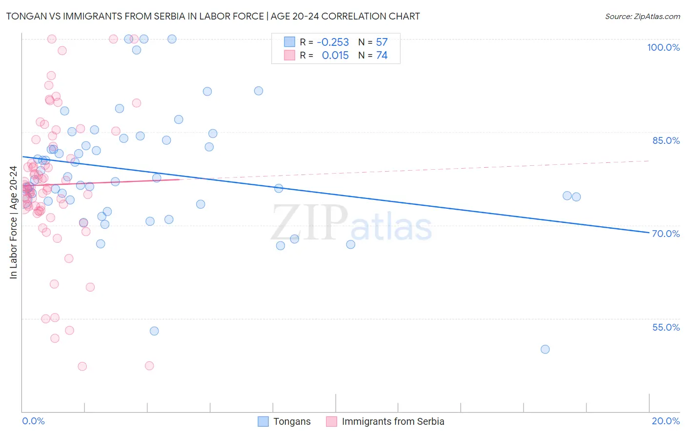 Tongan vs Immigrants from Serbia In Labor Force | Age 20-24