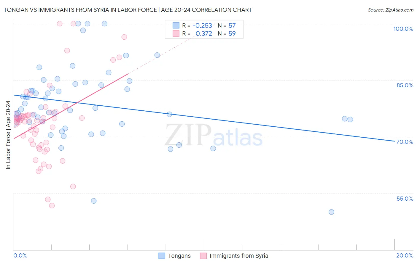 Tongan vs Immigrants from Syria In Labor Force | Age 20-24