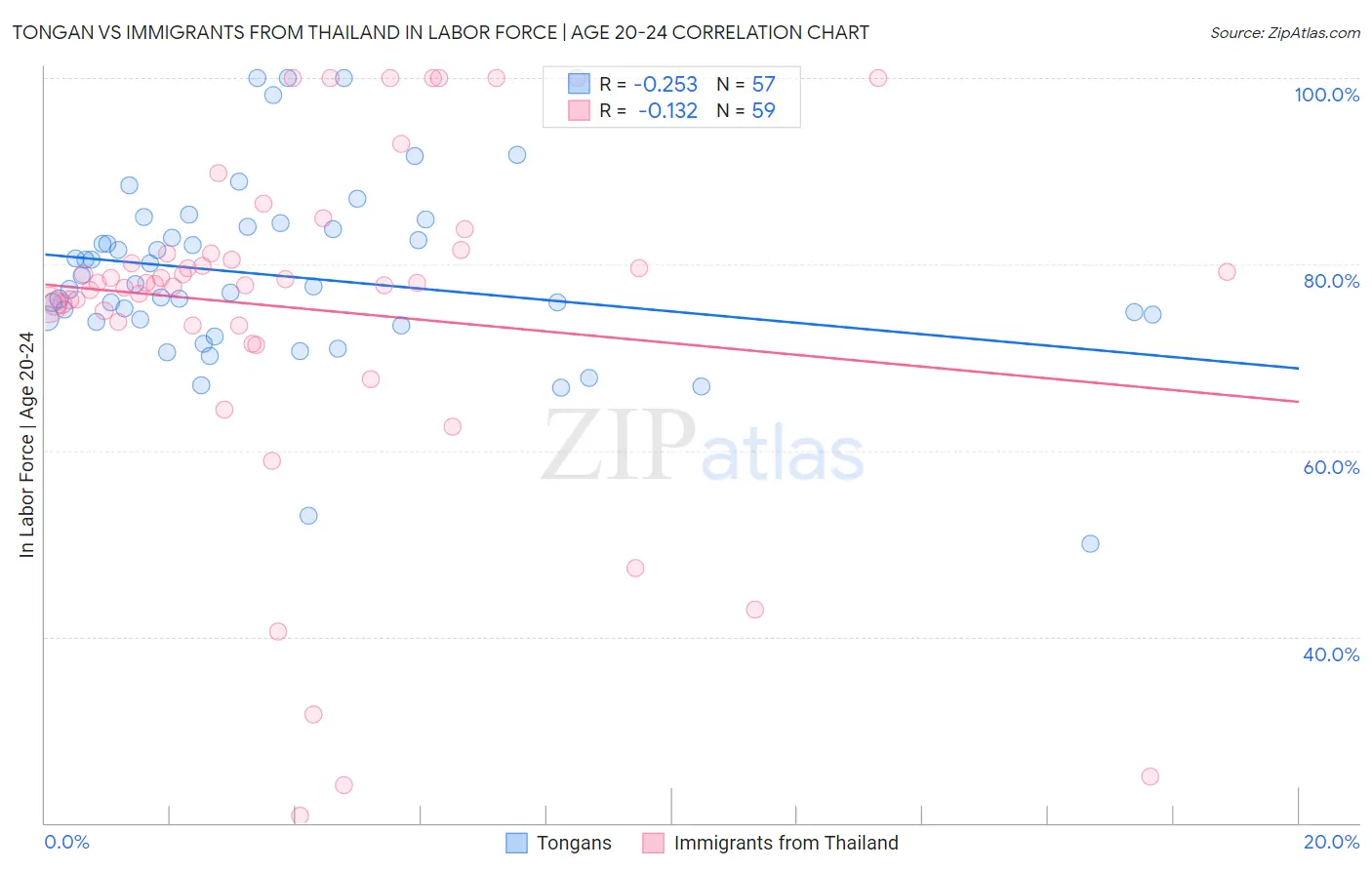 Tongan vs Immigrants from Thailand In Labor Force | Age 20-24