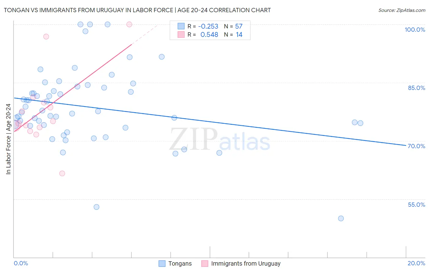 Tongan vs Immigrants from Uruguay In Labor Force | Age 20-24