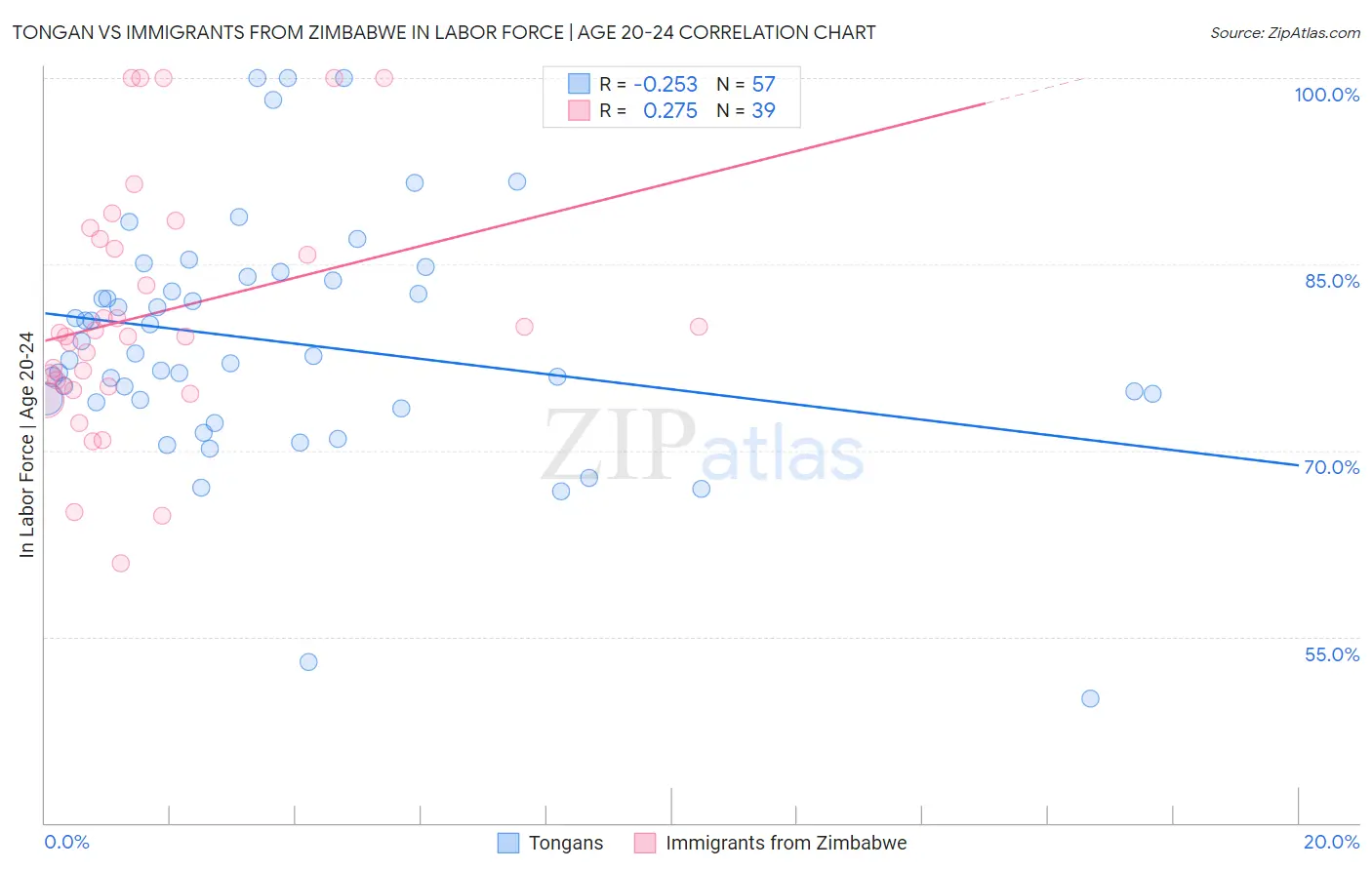 Tongan vs Immigrants from Zimbabwe In Labor Force | Age 20-24