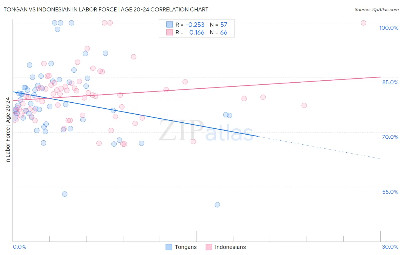 Tongan vs Indonesian In Labor Force | Age 20-24