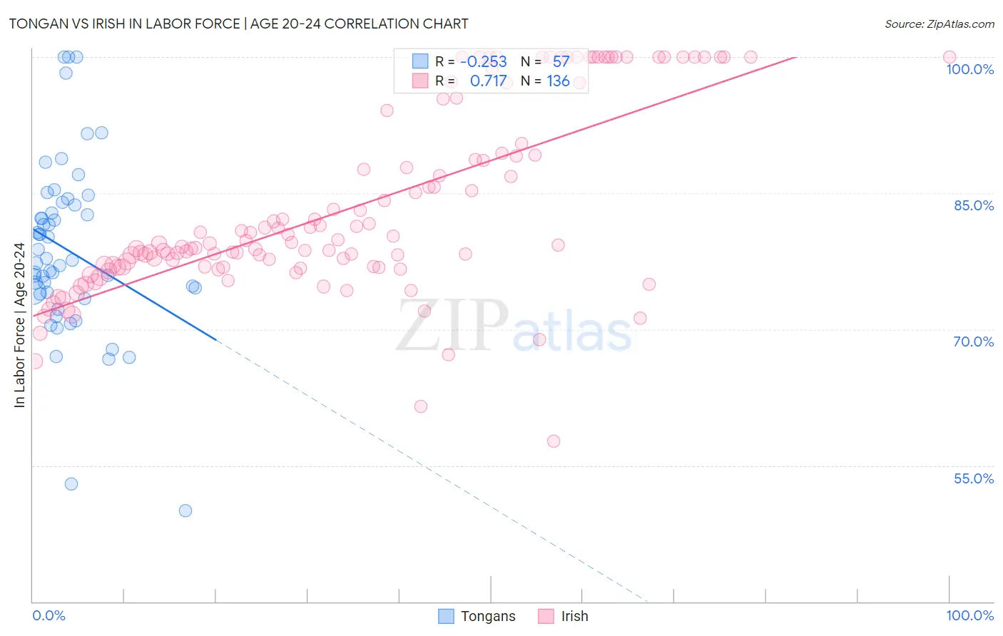 Tongan vs Irish In Labor Force | Age 20-24