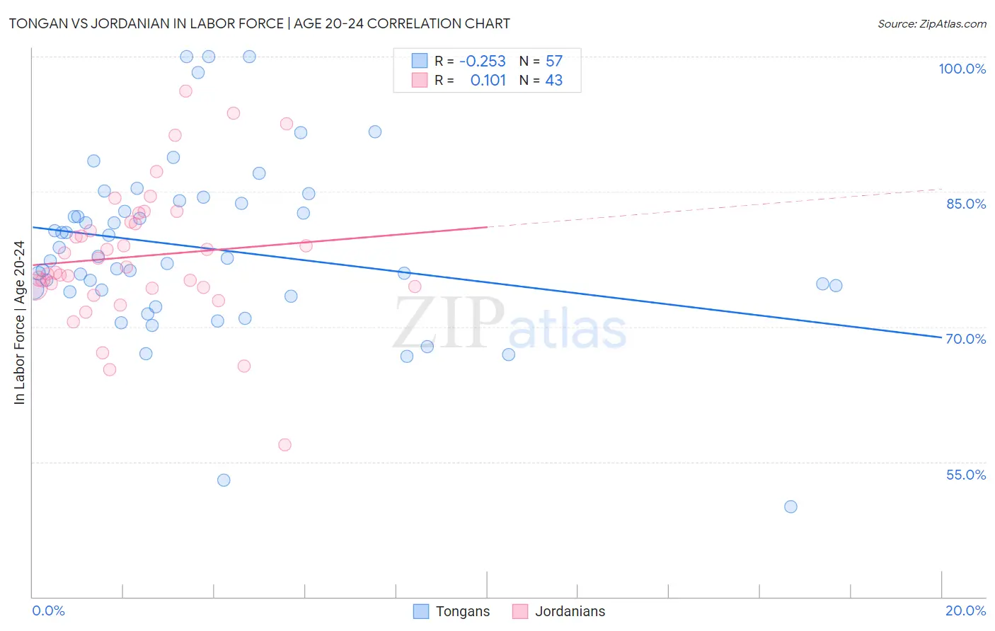 Tongan vs Jordanian In Labor Force | Age 20-24