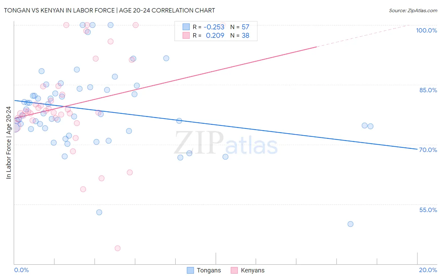 Tongan vs Kenyan In Labor Force | Age 20-24