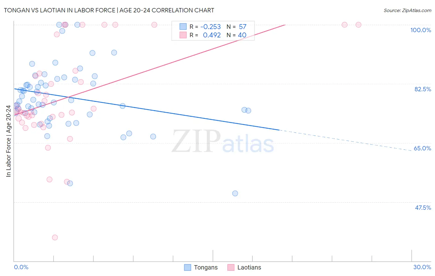 Tongan vs Laotian In Labor Force | Age 20-24