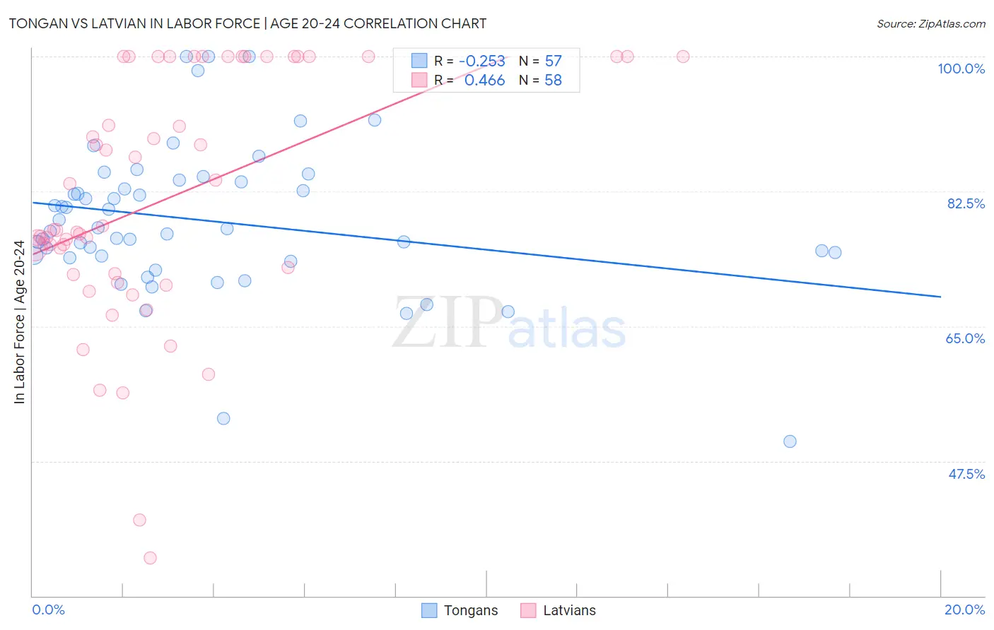 Tongan vs Latvian In Labor Force | Age 20-24