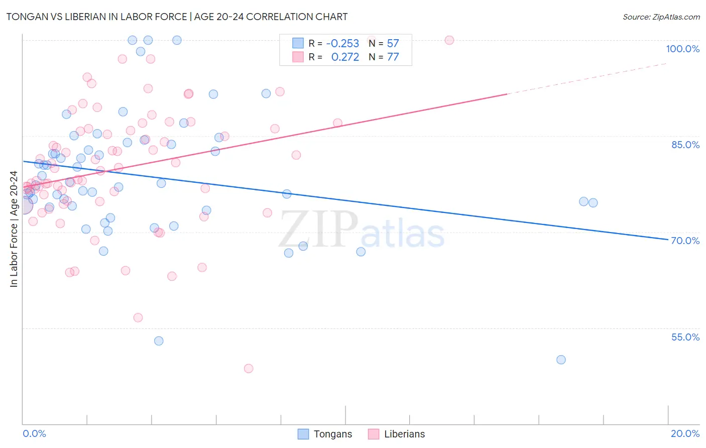 Tongan vs Liberian In Labor Force | Age 20-24