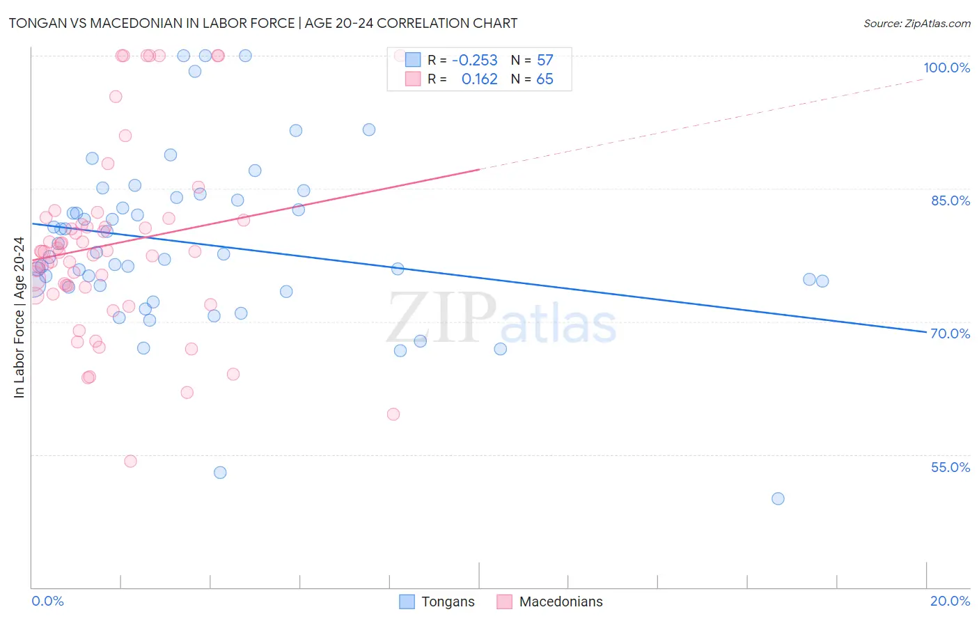 Tongan vs Macedonian In Labor Force | Age 20-24