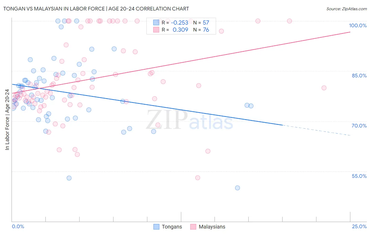 Tongan vs Malaysian In Labor Force | Age 20-24