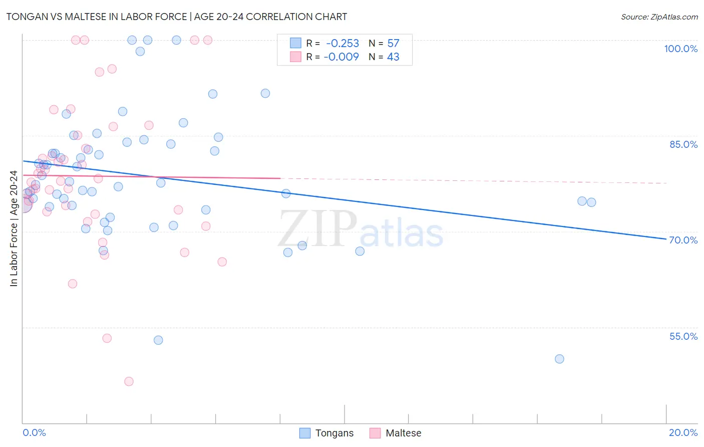 Tongan vs Maltese In Labor Force | Age 20-24