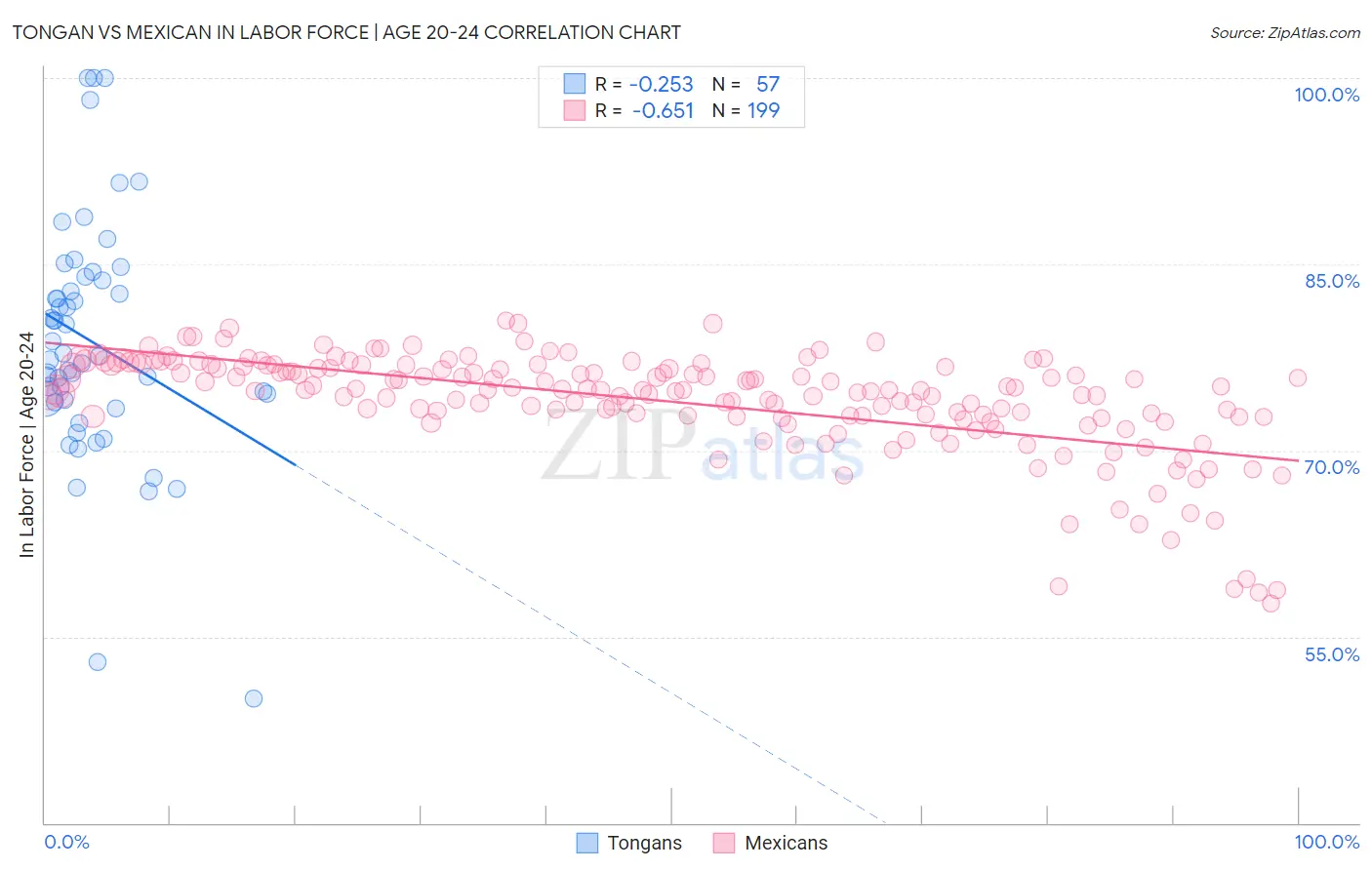 Tongan vs Mexican In Labor Force | Age 20-24