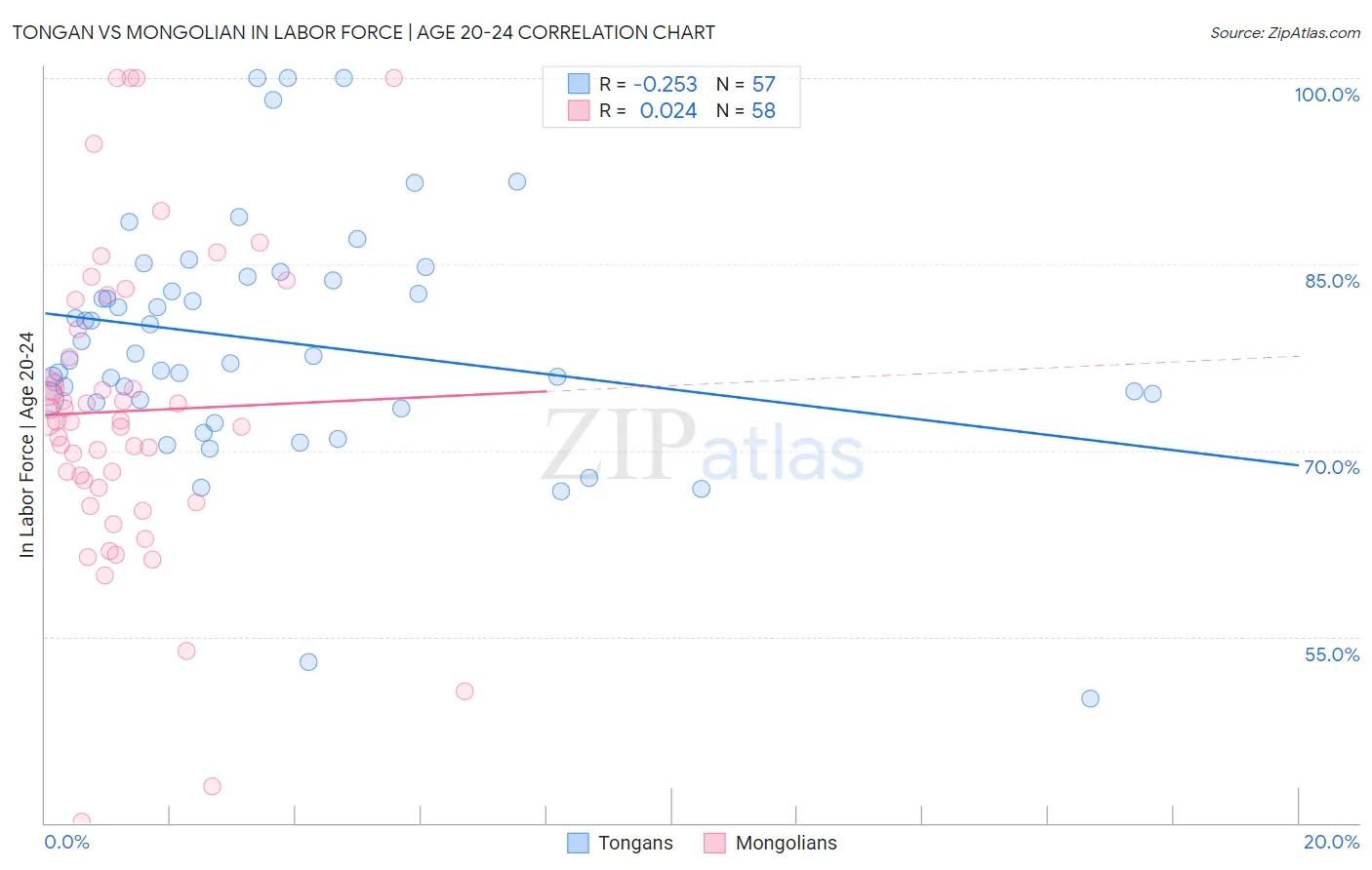 Tongan vs Mongolian In Labor Force | Age 20-24