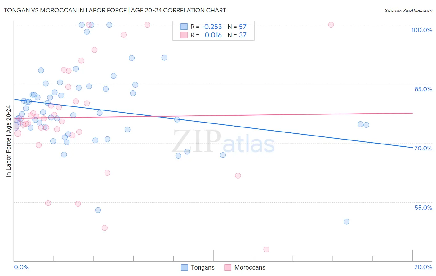 Tongan vs Moroccan In Labor Force | Age 20-24