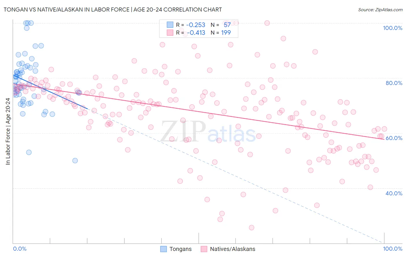 Tongan vs Native/Alaskan In Labor Force | Age 20-24