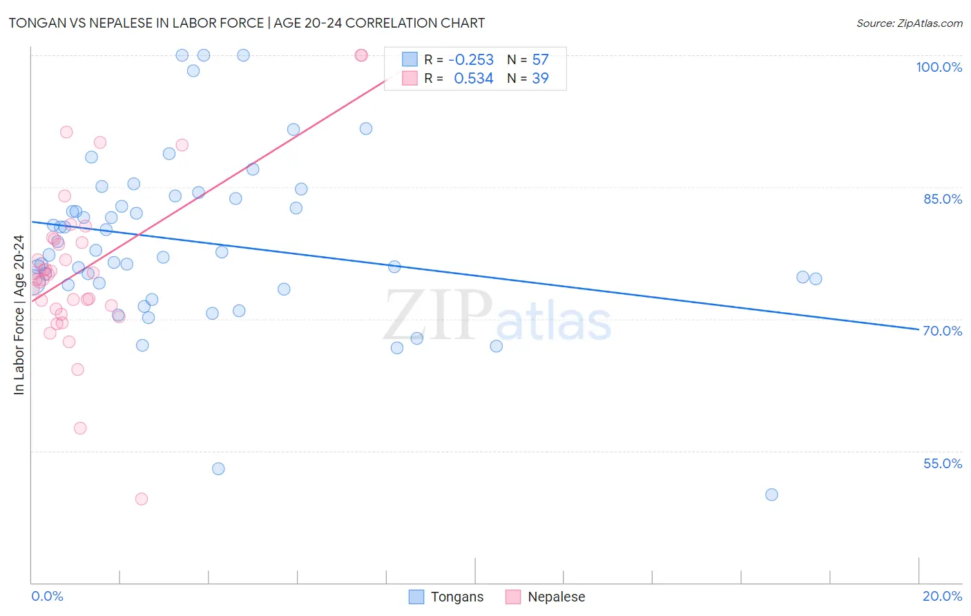 Tongan vs Nepalese In Labor Force | Age 20-24