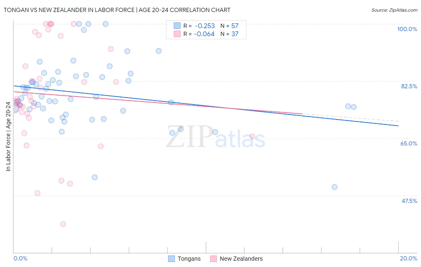 Tongan vs New Zealander In Labor Force | Age 20-24