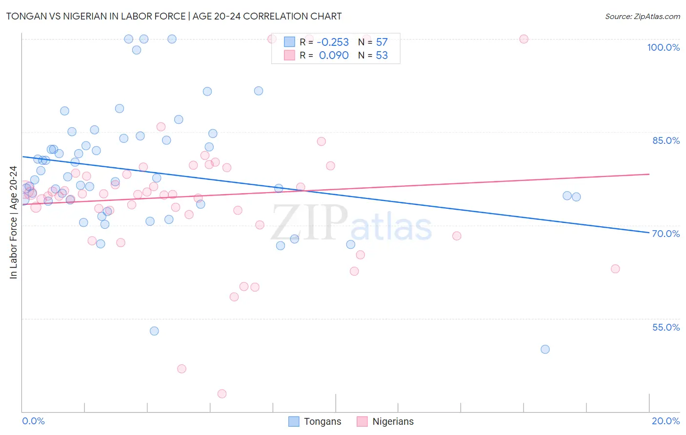 Tongan vs Nigerian In Labor Force | Age 20-24
