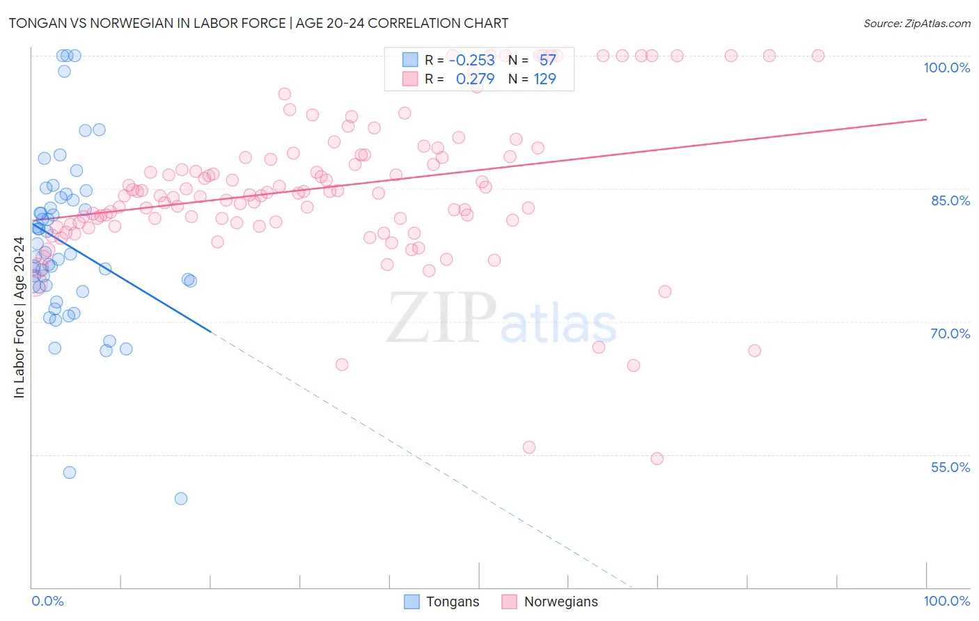 Tongan vs Norwegian In Labor Force | Age 20-24