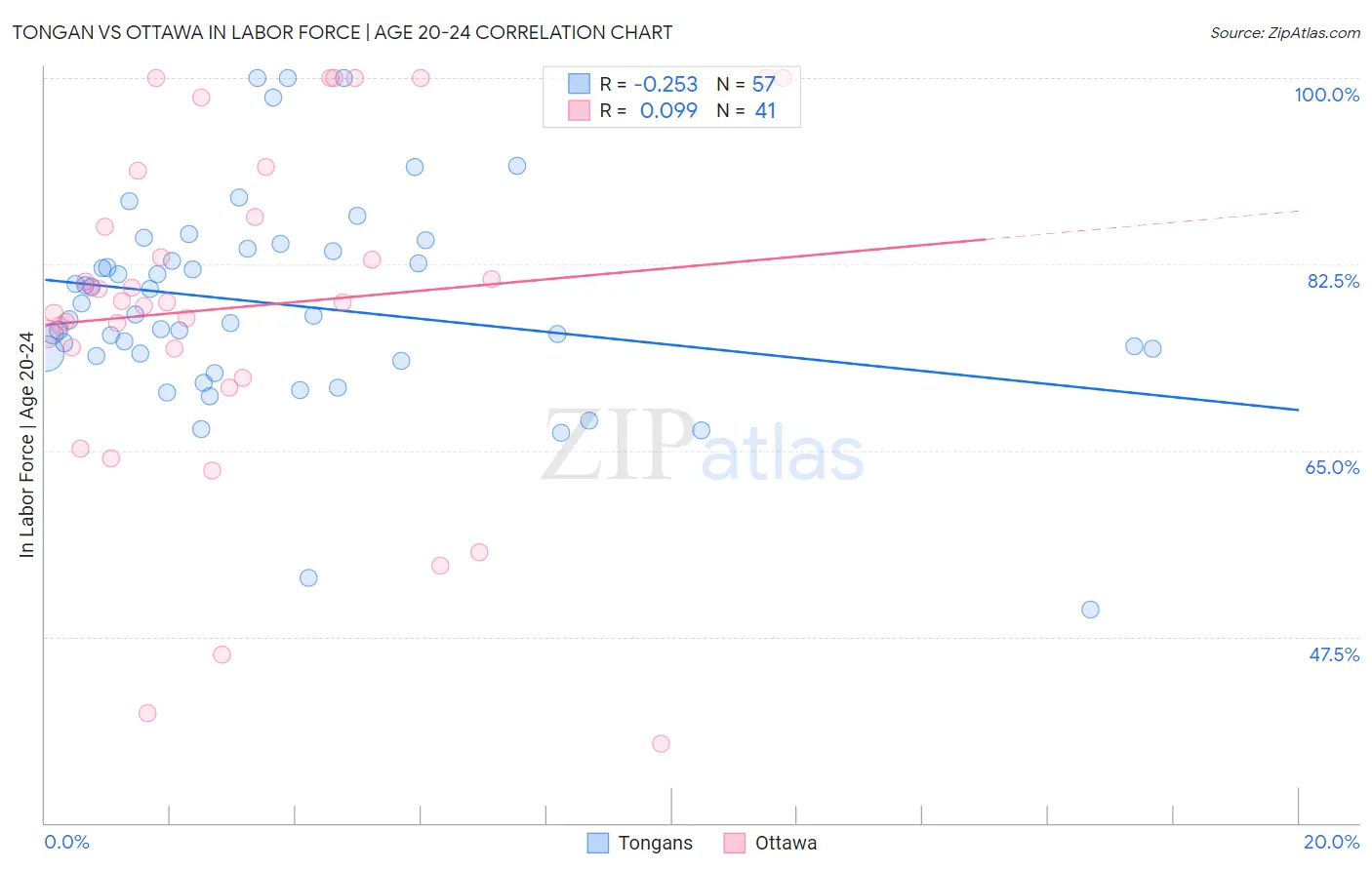 Tongan vs Ottawa In Labor Force | Age 20-24