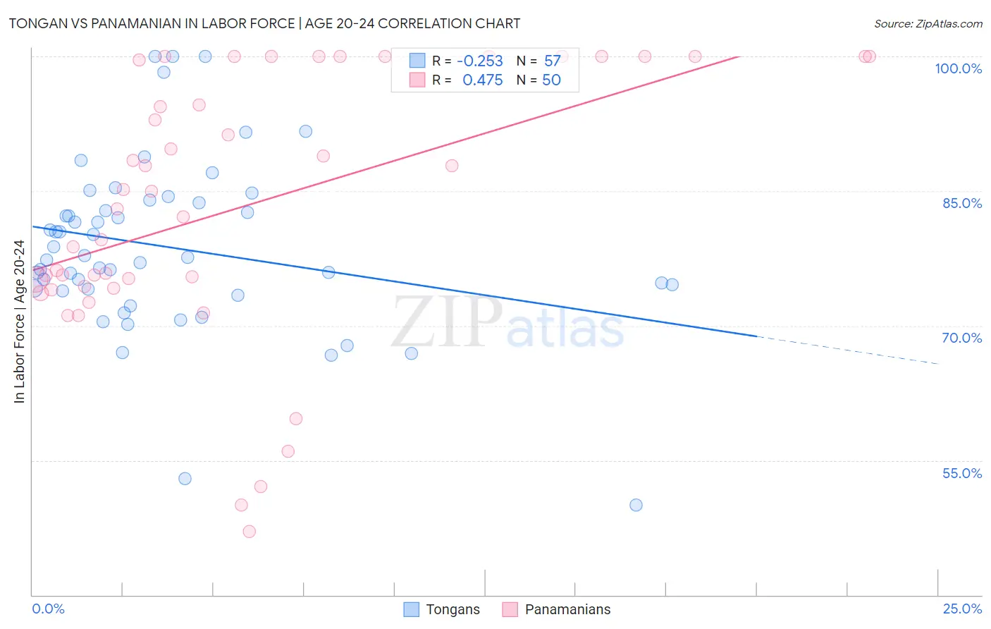 Tongan vs Panamanian In Labor Force | Age 20-24