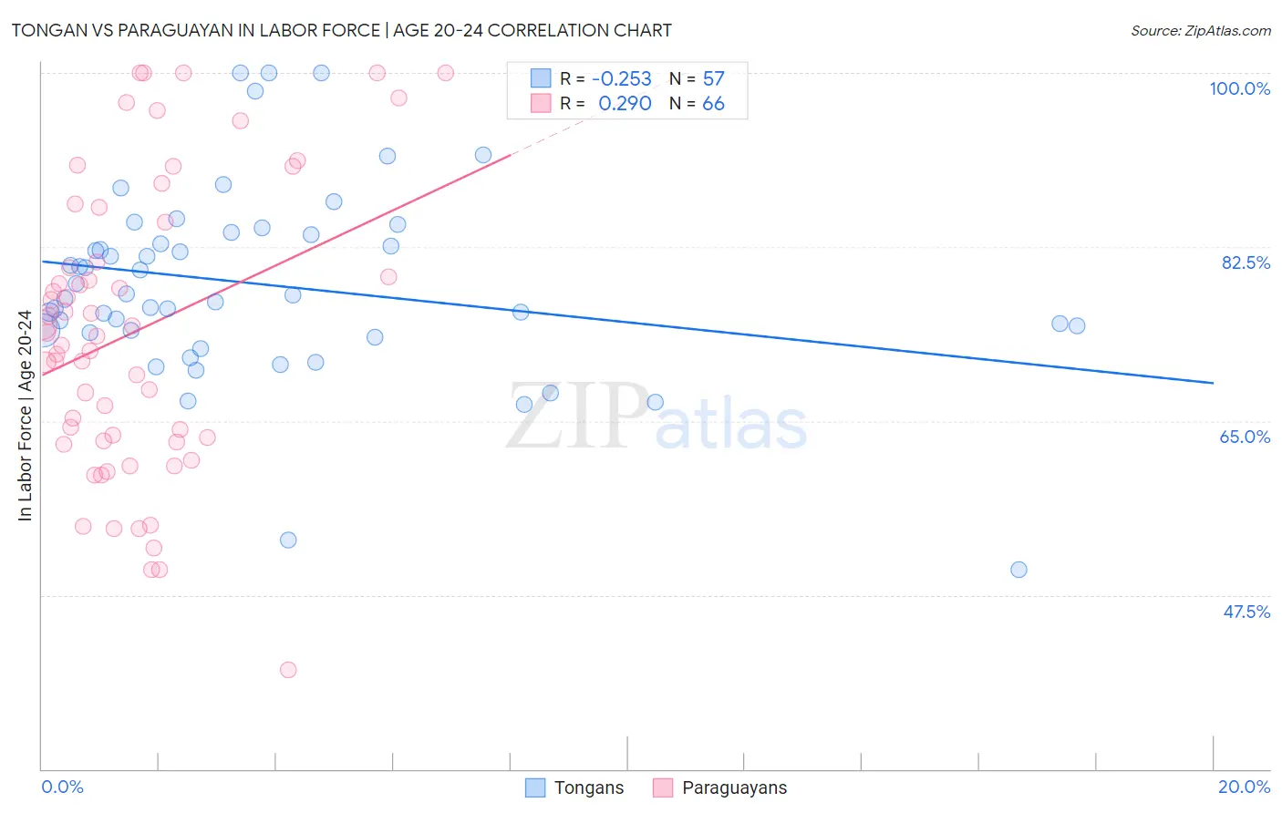Tongan vs Paraguayan In Labor Force | Age 20-24