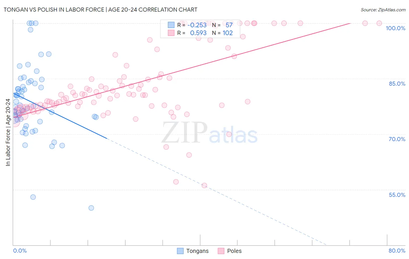 Tongan vs Polish In Labor Force | Age 20-24