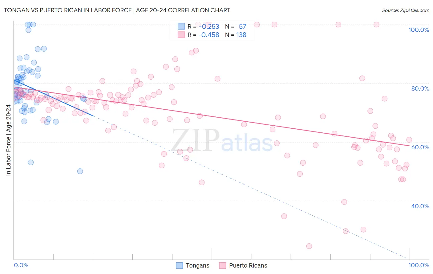 Tongan vs Puerto Rican In Labor Force | Age 20-24