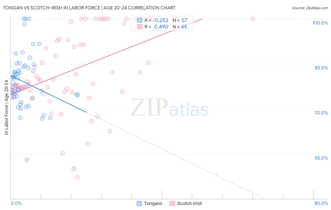 Tongan vs Scotch-Irish In Labor Force | Age 20-24