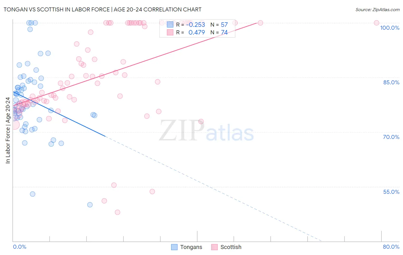 Tongan vs Scottish In Labor Force | Age 20-24