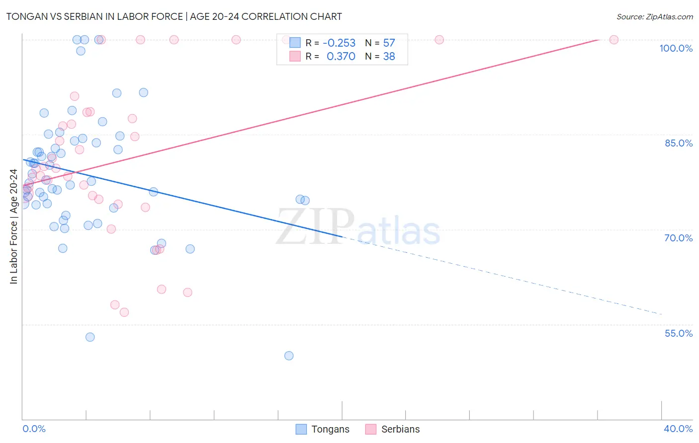Tongan vs Serbian In Labor Force | Age 20-24