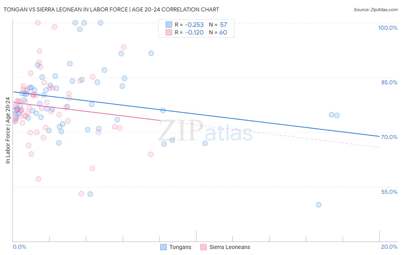 Tongan vs Sierra Leonean In Labor Force | Age 20-24