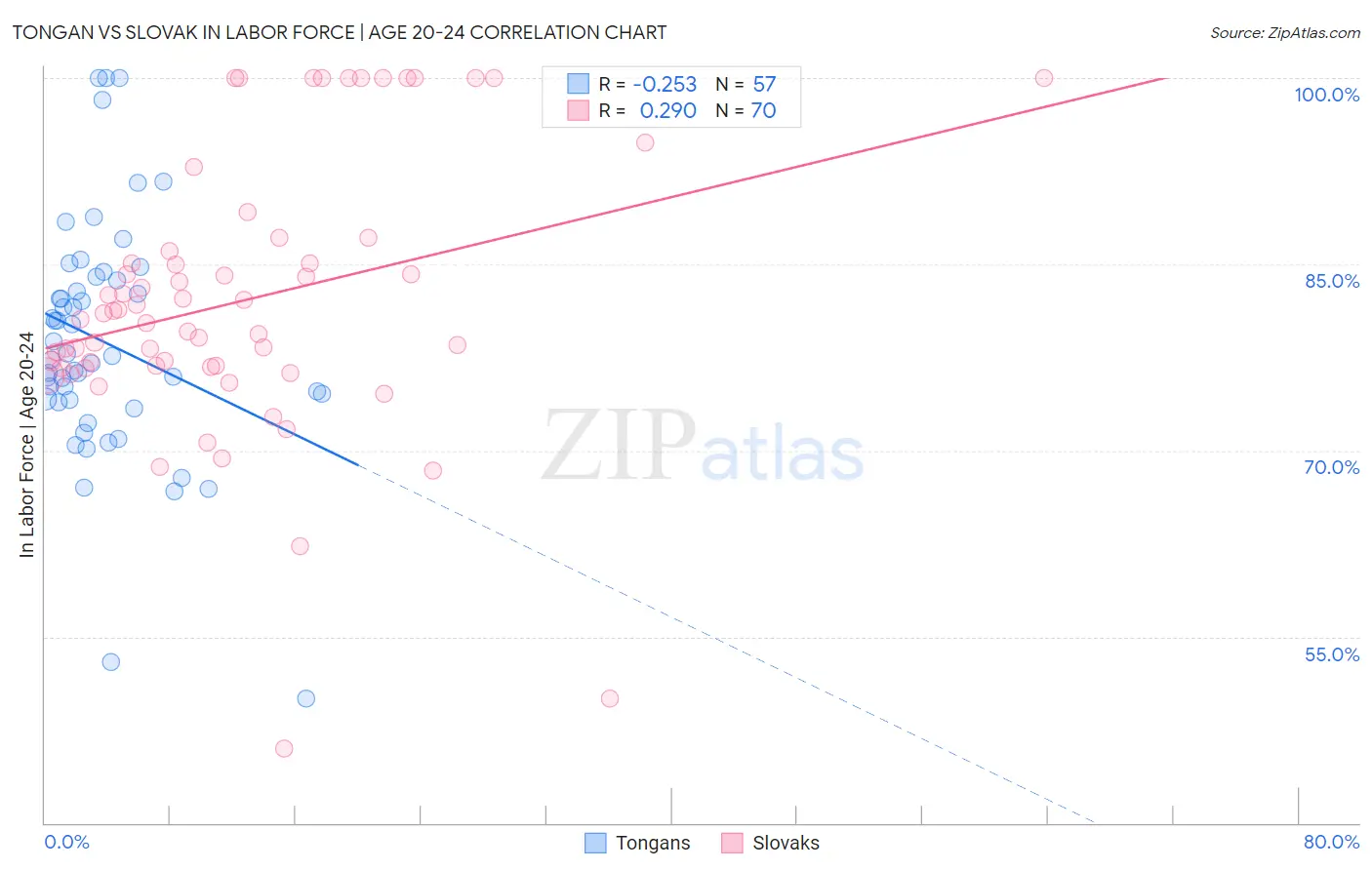 Tongan vs Slovak In Labor Force | Age 20-24