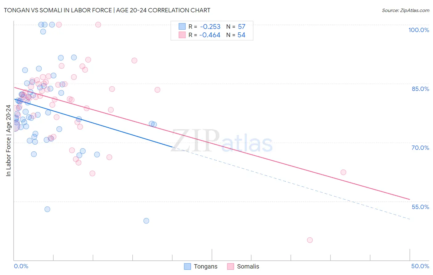 Tongan vs Somali In Labor Force | Age 20-24