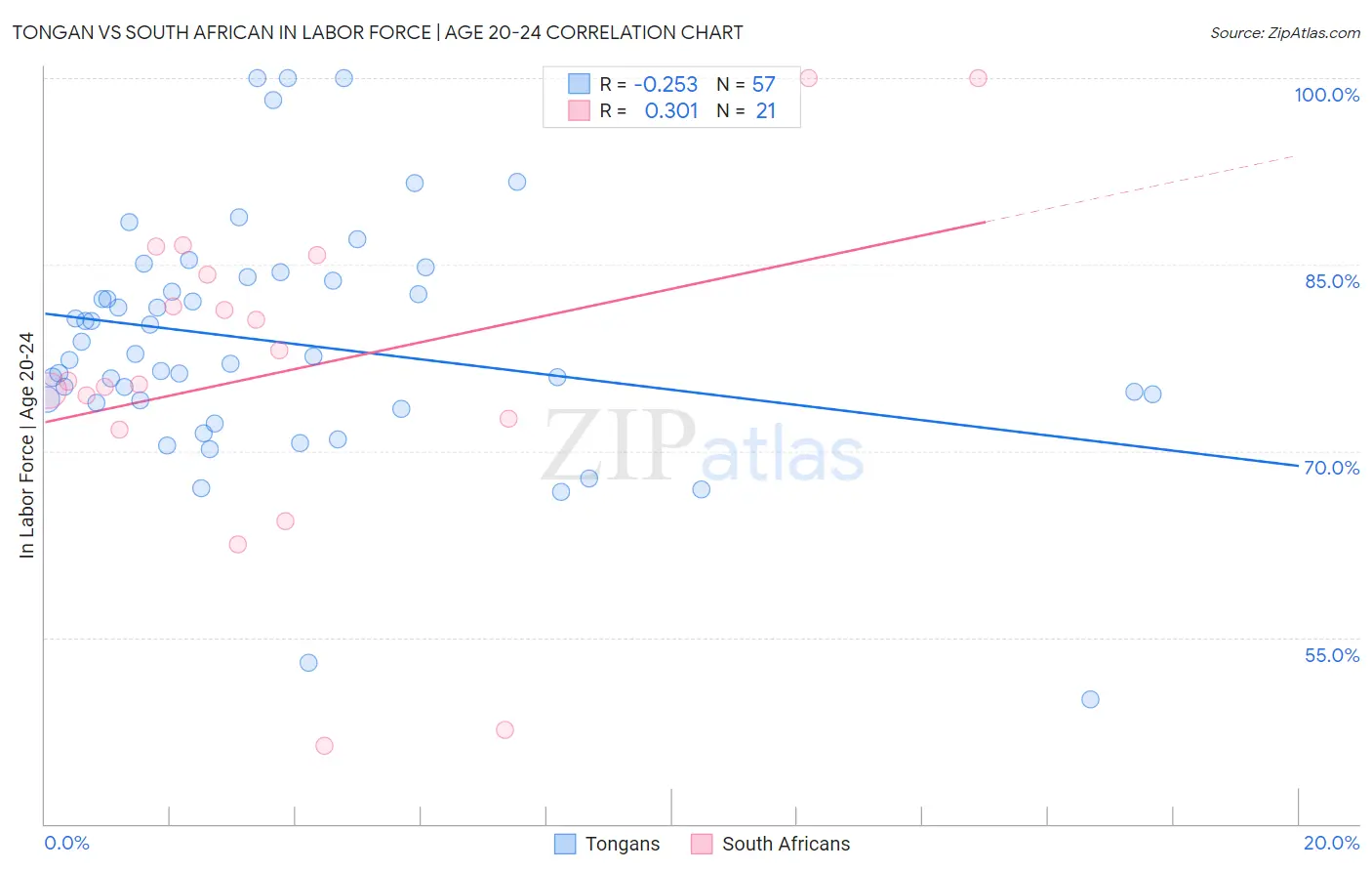 Tongan vs South African In Labor Force | Age 20-24