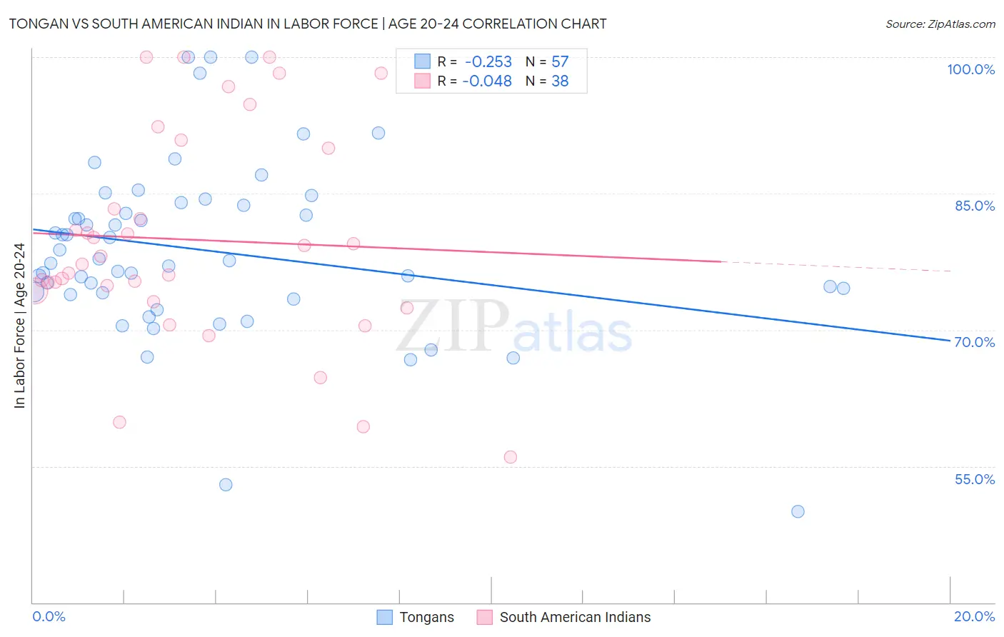 Tongan vs South American Indian In Labor Force | Age 20-24