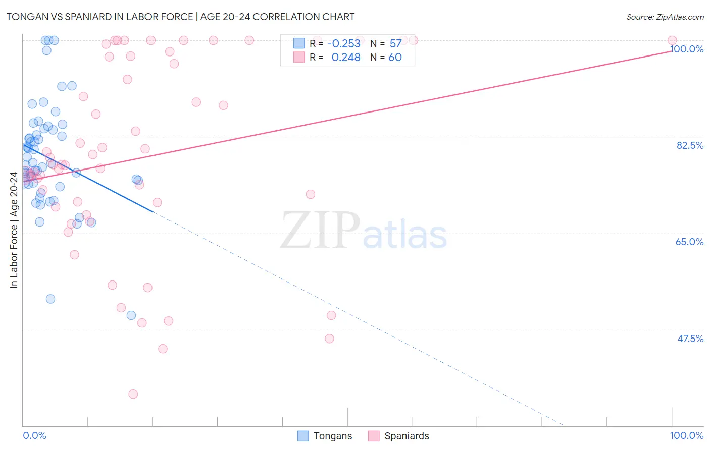 Tongan vs Spaniard In Labor Force | Age 20-24