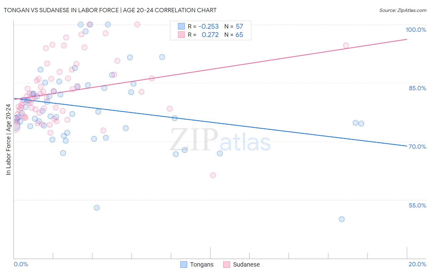 Tongan vs Sudanese In Labor Force | Age 20-24