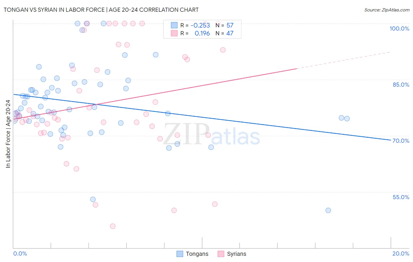 Tongan vs Syrian In Labor Force | Age 20-24