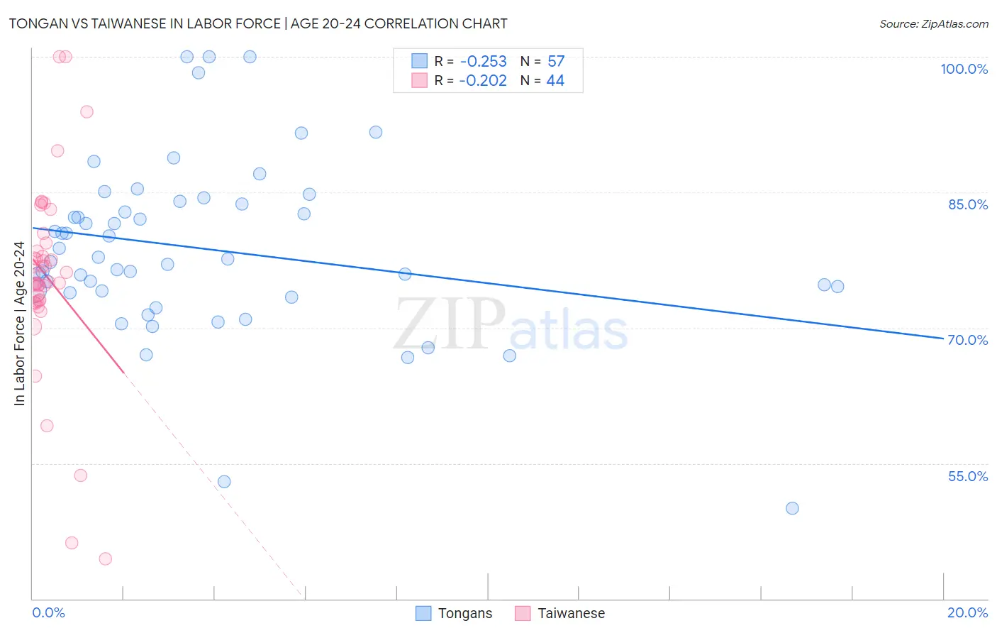 Tongan vs Taiwanese In Labor Force | Age 20-24