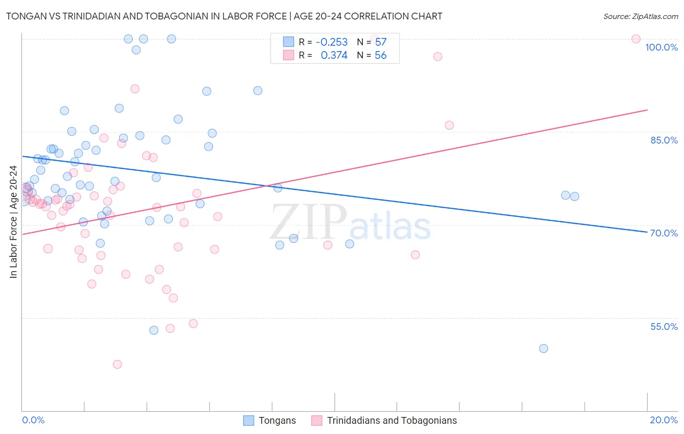 Tongan vs Trinidadian and Tobagonian In Labor Force | Age 20-24