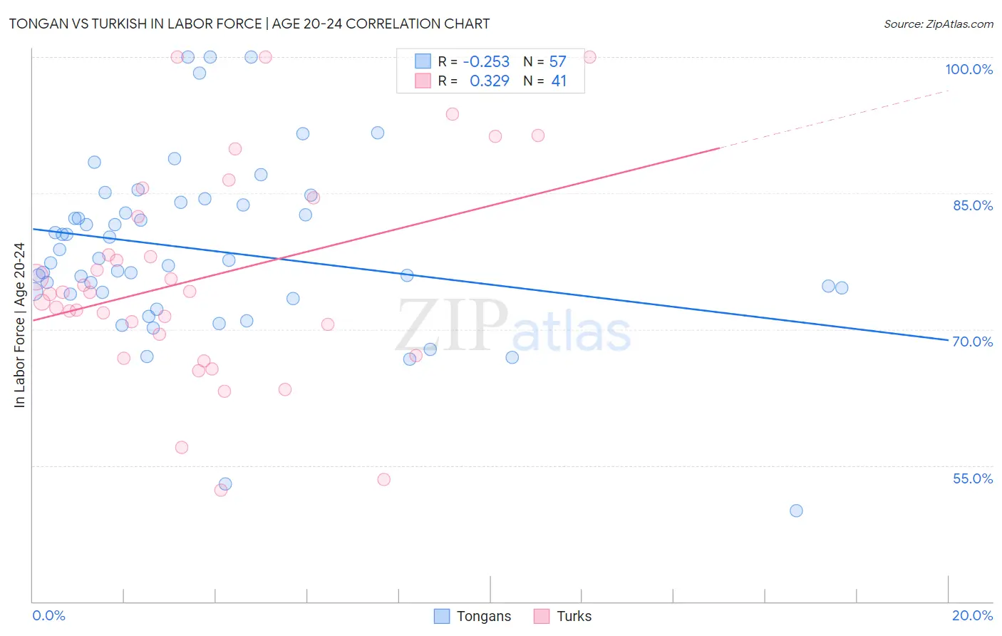 Tongan vs Turkish In Labor Force | Age 20-24