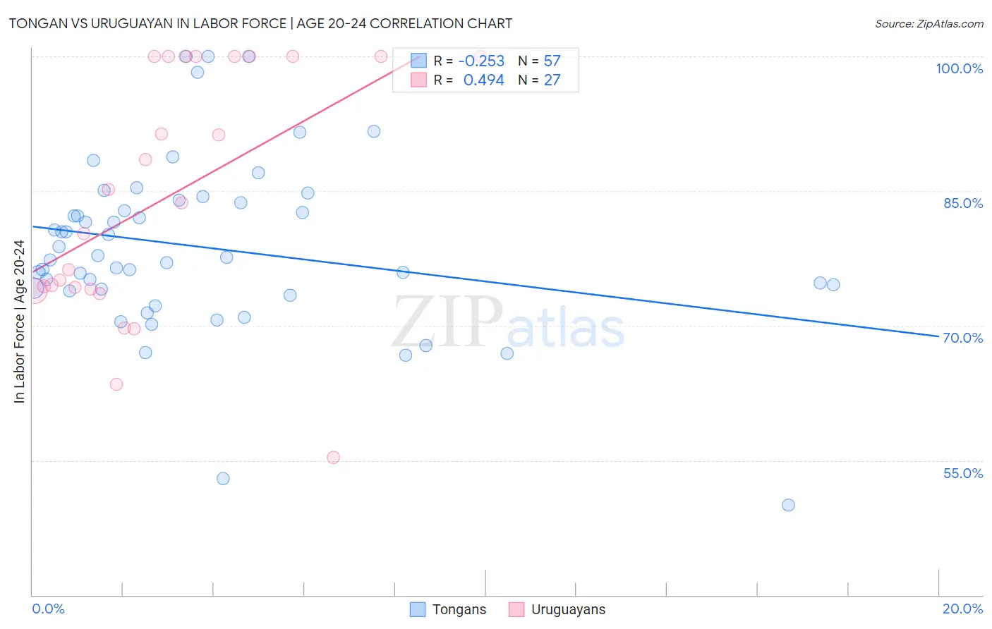 Tongan vs Uruguayan In Labor Force | Age 20-24