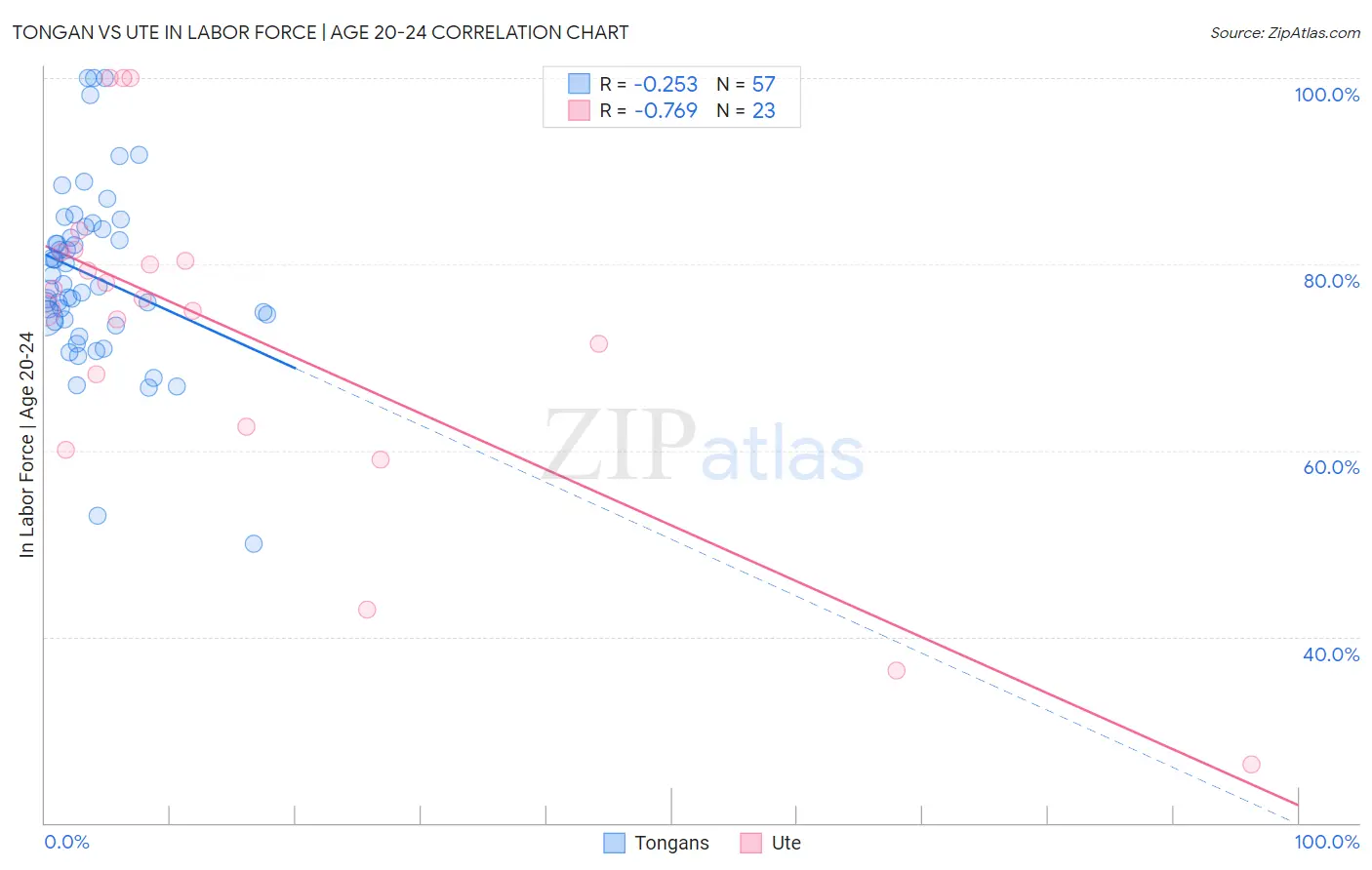 Tongan vs Ute In Labor Force | Age 20-24