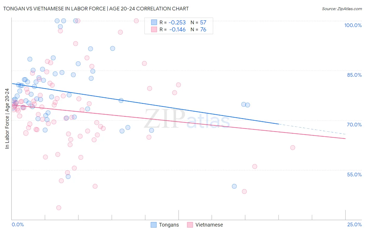 Tongan vs Vietnamese In Labor Force | Age 20-24