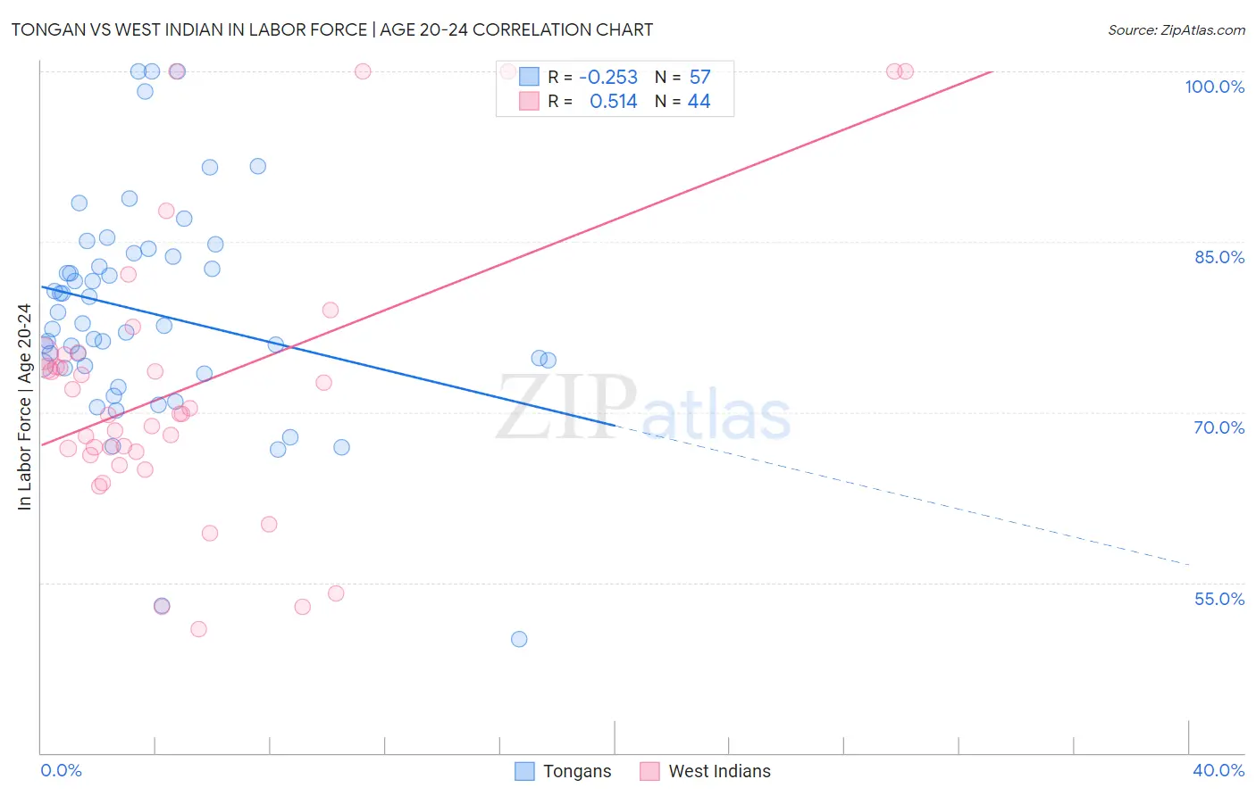 Tongan vs West Indian In Labor Force | Age 20-24