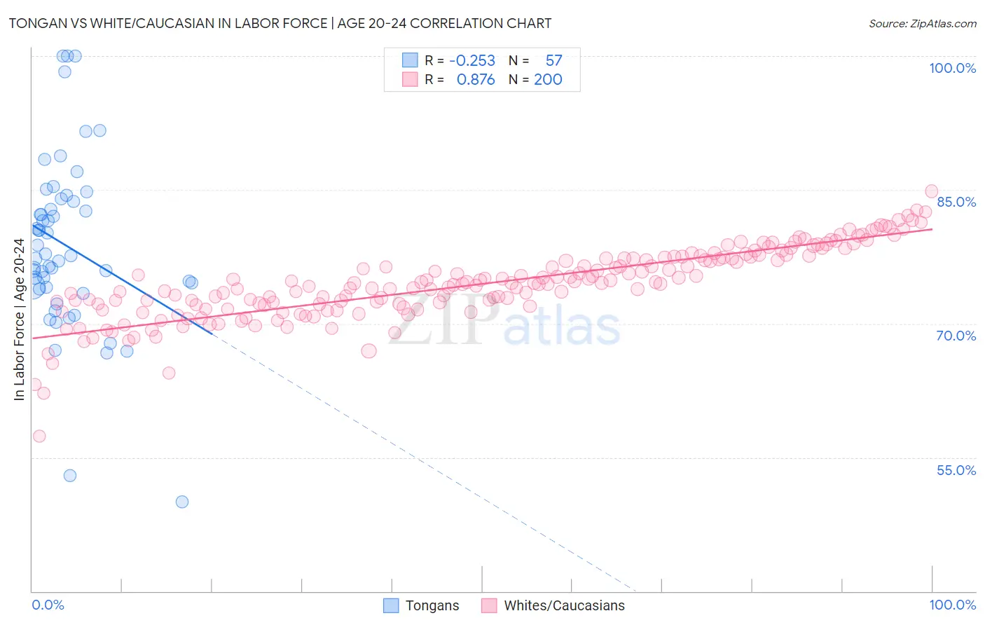 Tongan vs White/Caucasian In Labor Force | Age 20-24