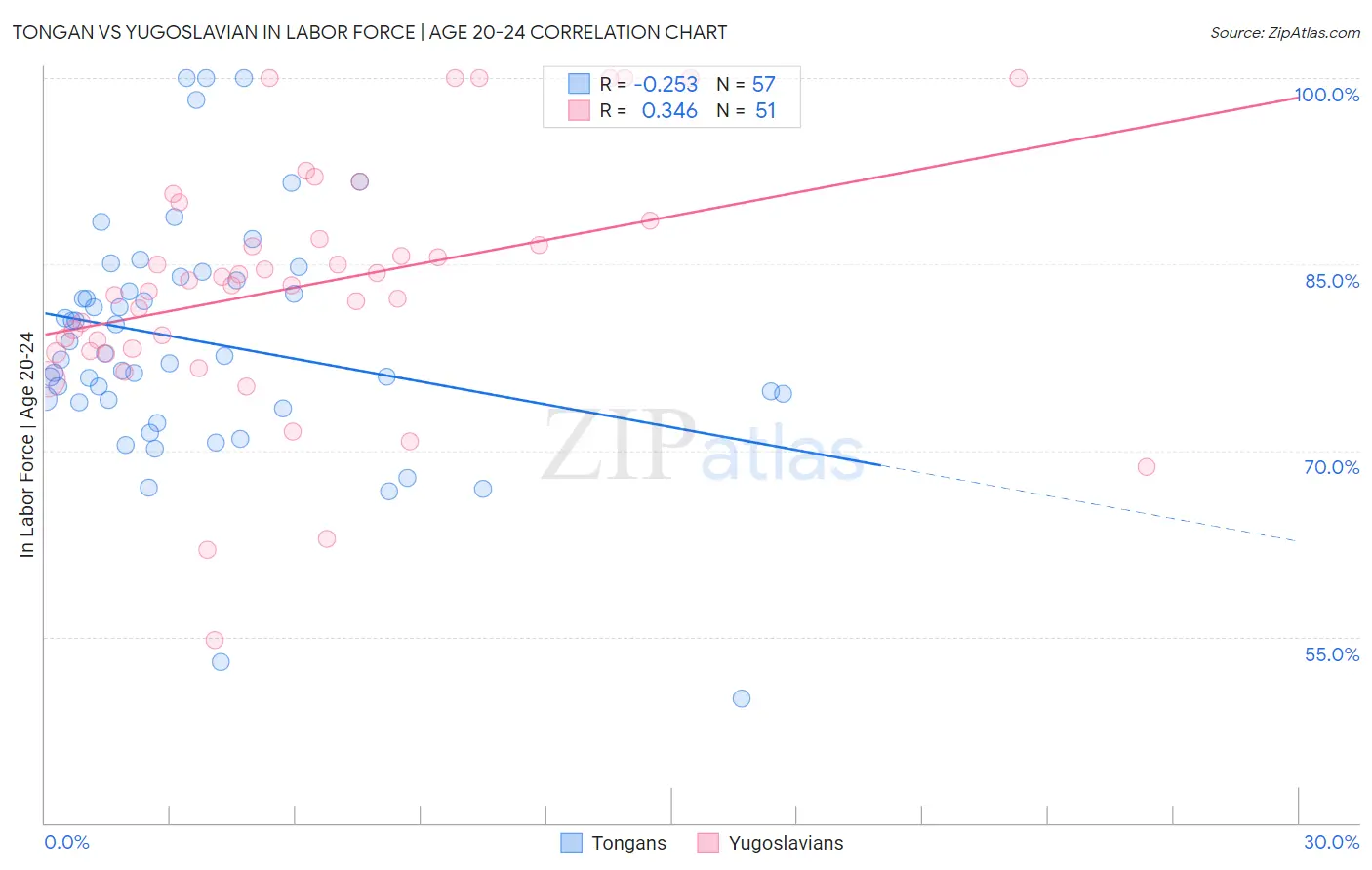 Tongan vs Yugoslavian In Labor Force | Age 20-24
