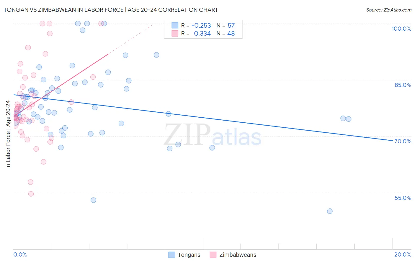 Tongan vs Zimbabwean In Labor Force | Age 20-24