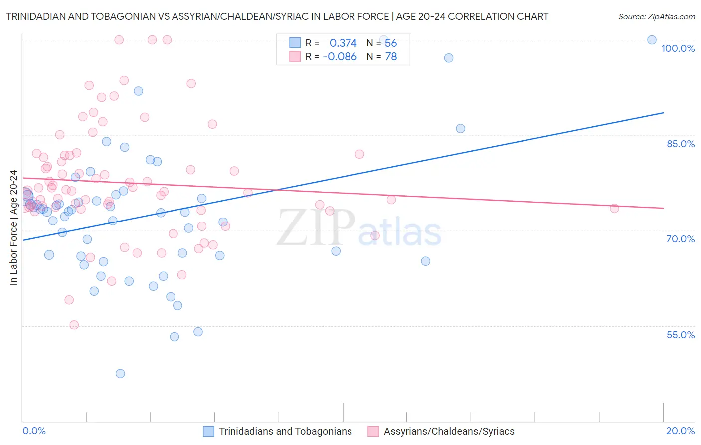 Trinidadian and Tobagonian vs Assyrian/Chaldean/Syriac In Labor Force | Age 20-24